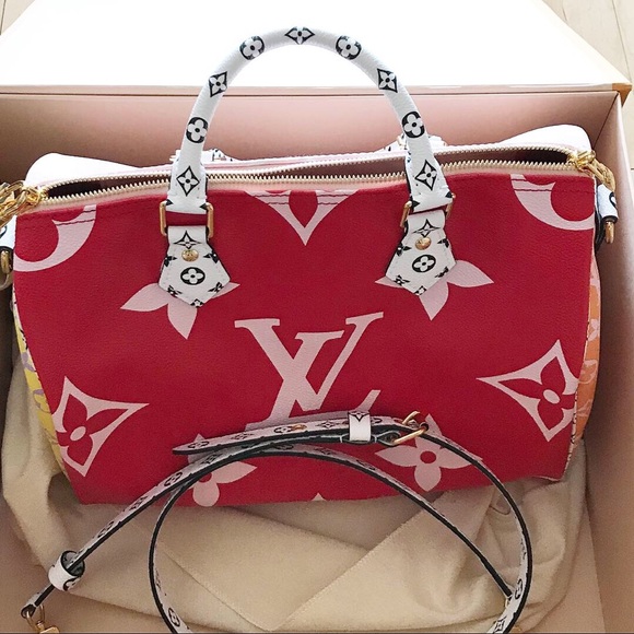 louis vuitton speedy giant monogram